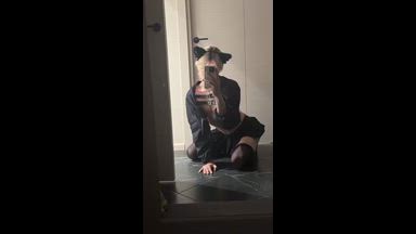 tom — Your kitty is here