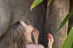 Tropical beauty