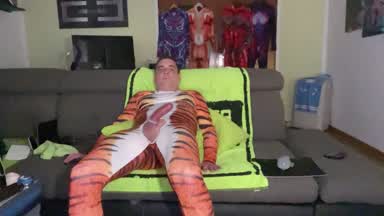 TigersDick