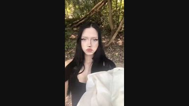 Walks in the Forest