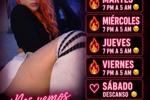 broadcast schedule
