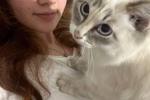 My cat Mikey