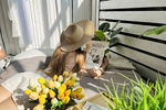 SpringVibe