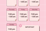 My schedule