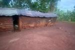 am working hard to change our home