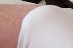 Panty boy