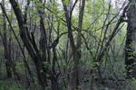 nature pictures - my biggest hobby!