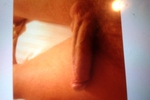 Cock