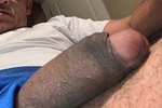 HUMP DAY
