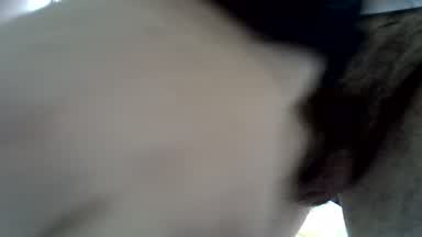 Cumming