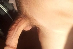 Cock again