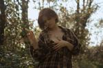 in the wood