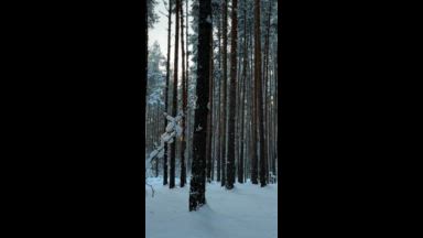 My winter wonderland ASMR