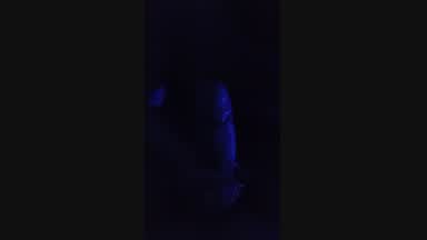 First blowjob Anna