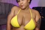 Spixy in Yellow