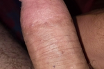 sir sexy — dick