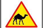 Camel2point0
