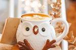 erikafanks — super cute mug with autumn motif