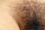 PUSSY