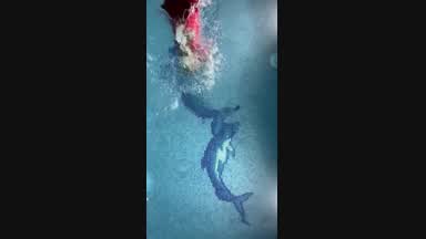 the little mermaid^^