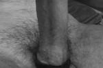 Cock