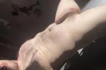 nakedkyguy live Chaturbate webcam gallery thumbnail