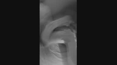 hey
