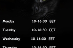 My Schedule