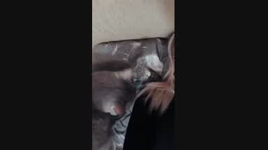 my baby meow