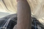 Pictures of my dick