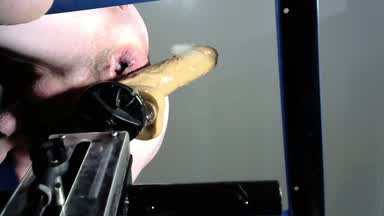 fuck my ass