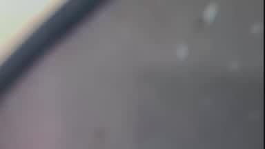 ♥.............
