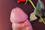 🌹𝐕𝐚𝐥𝐞𝐧𝐭𝐢𝐧𝐞'𝐬 𝐃𝐚𝐲💝
