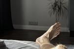 The Art of Soles