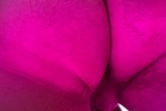 ass