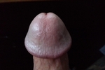fatbastard — like shrooms?