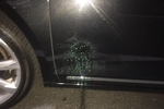 kids paint balled my car