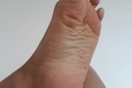 feet