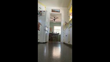 On all fours in the kitchen