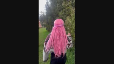 brisa