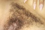 Hairy Pussy