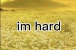 Me when you tip