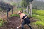 Help me to build my farm
