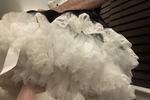 Petticoat