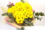 Give me some daisies 222 Tks