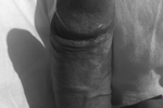 pedroo oo โ ME