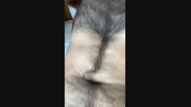 Empty balls hairy bush
