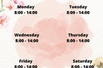 My Schedule