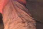 hard cock
