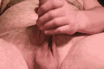 Cock gif